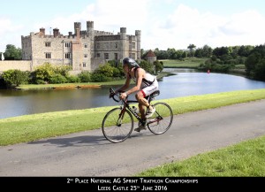 Nice shot of Leeds Castle!